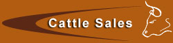cattle_sales