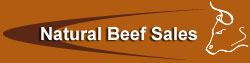 beef_sales